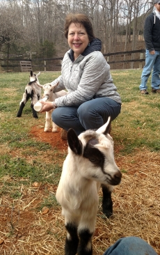 goat-mom.jpg